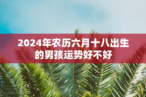 2025年农历六月十八出生的男孩运势好不好