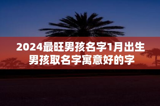 2025最旺男孩名字1月出生 男孩取名字寓意好的字