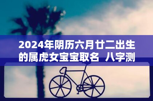 2025年阴历六月廿二出生的属虎女宝宝取名 八字测算
