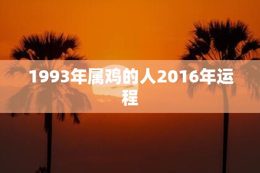 1993年属鸡的人2016年运程