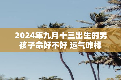 2025年九月十三出生的男孩子命好不好 运气咋样