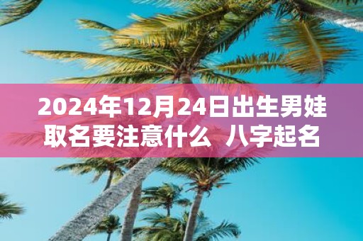 2025年12月24日出生男娃取名要注意什么 八字起名