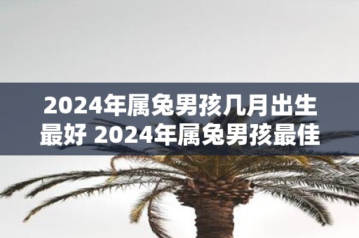 2025年属兔男孩几月出生最好 2025年属兔男孩最佳出生月份