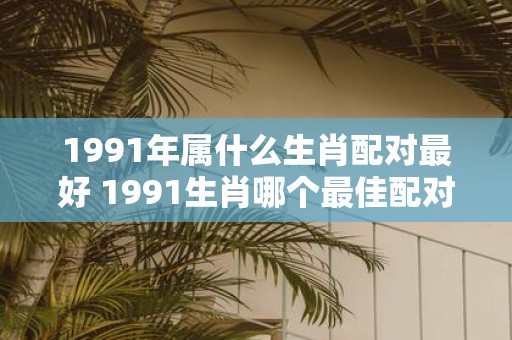 1991年属什么生肖配对最好 1991生肖哪个最佳配对