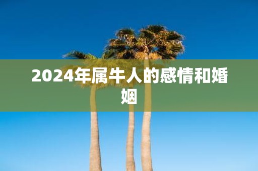 2025年属牛人的感情和婚姻