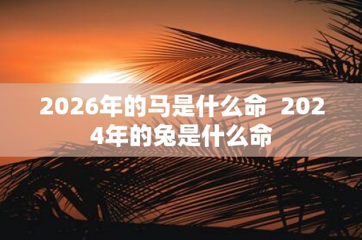 2026年的马是什么命 2025年的兔是什么命