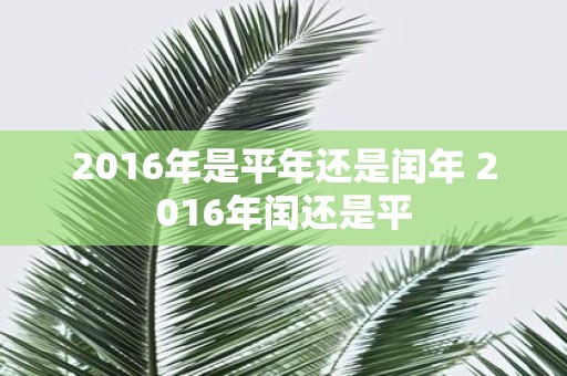 2016年是平年还是闰年 2016年闰还是平