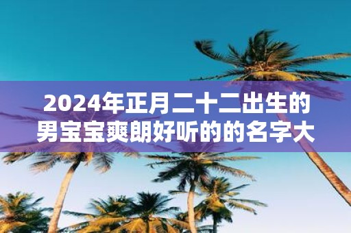2025年正月二十二出生的男宝宝爽朗好听的的名字大全