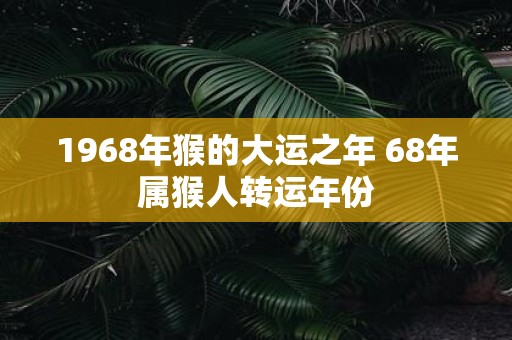 1968年猴的大运之年 68年属猴人转运年份