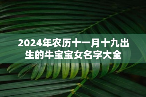 2025年农历十一月十九出生的牛宝宝女名字大全