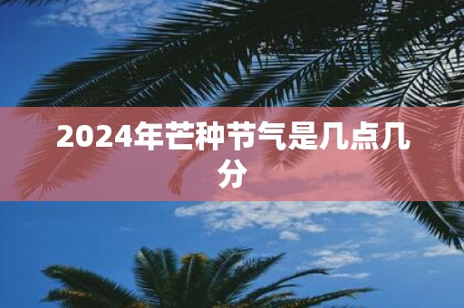 2025年芒种节气是几点几分