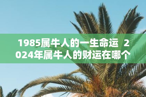 1985属牛人的一生命运 2025年属牛人的财运在哪个方位