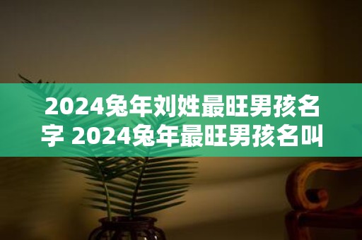 2025蛇年刘姓最旺男孩名字 2025蛇年最旺男孩名叫刘姓吗