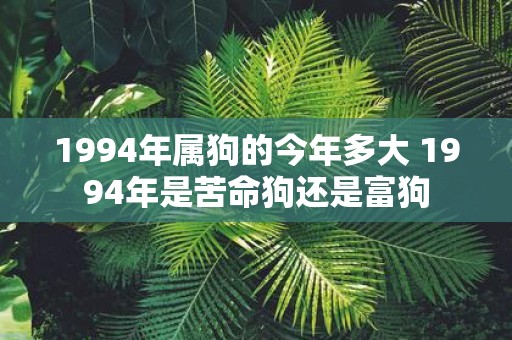 1994年属狗的今年多大 1994年是苦命狗还是富狗