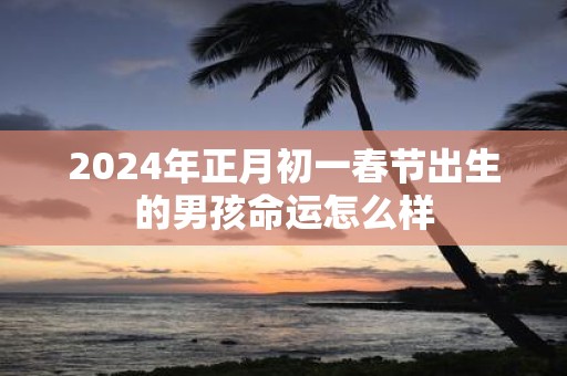 2025年正月初一春节出生的男孩命运怎么样