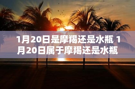 1月20日是摩羯还是水瓶 1月20日属于摩羯还是水瓶