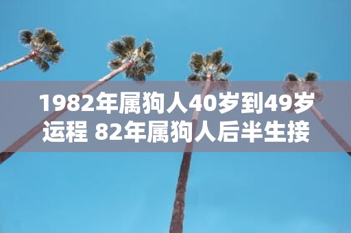 1982年属狗人40岁到49岁运程 82年属狗人后半生接好运吗