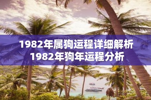 1982年属狗运程详细解析 1982年狗年运程分析