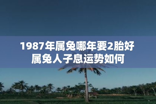 1987年属兔哪年要2胎好 属兔人子息运势如何
