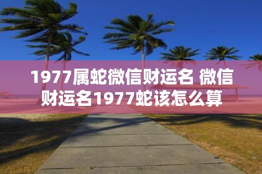 1977属蛇微信财运名 微信财运名1977蛇该怎么算
