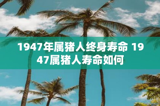 1947年属猪人终身寿命 1947属猪人寿命如何