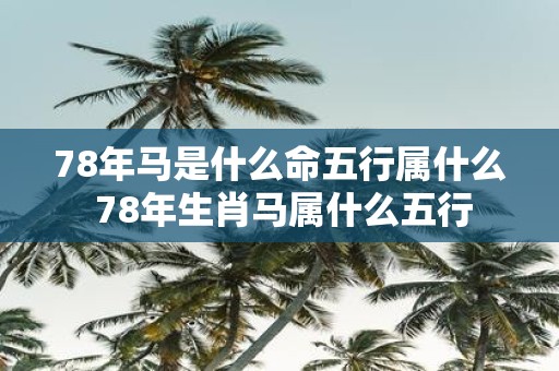 78年马是什么命五行属什么 78年生肖马属什么五行