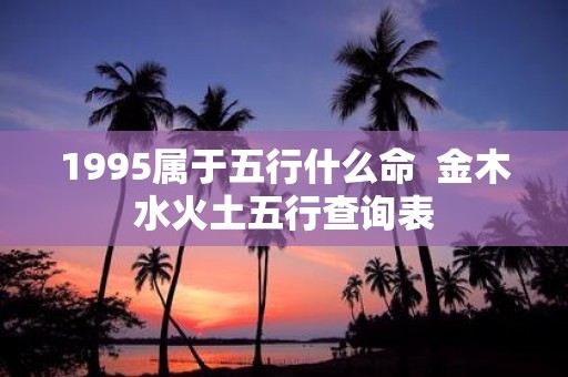 1995属于五行什么命 金木水火土五行查询表