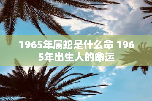 1965年属蛇是什么命 1965年出生人的命运