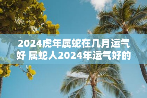 2025虎年属蛇在几月运气好 属蛇人2025年运气好的月份 2025虎年属蛇在几月运气好 属蛇人2025年运气好的月份