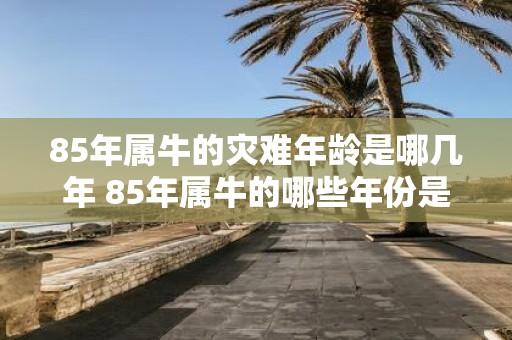 85年属牛的灾难年龄是哪几年 85年属牛的哪些年份是灾难年龄