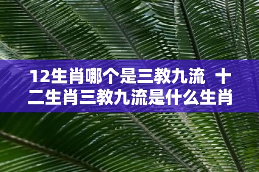 12生肖哪个是三教九流 十二生肖三教九流是什么生肖
