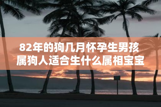 82年的狗几月怀孕生男孩 属狗人适合生什么属相宝宝