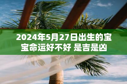 2025年5月27日出生的宝宝命运好不好 是吉是凶