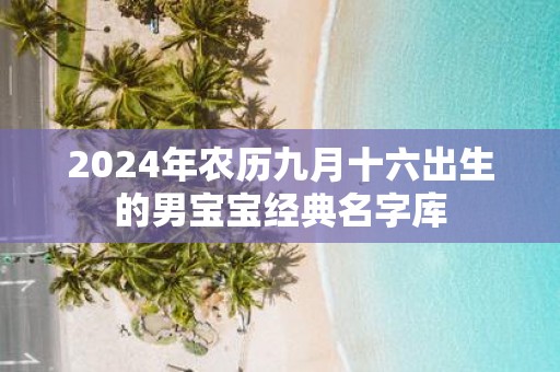 2025年农历九月十六出生的男宝宝经典名字库
