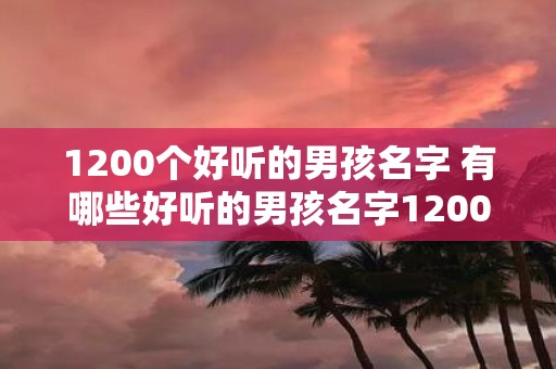 1200个好听的男孩名字 有哪些好听的男孩名字1200个