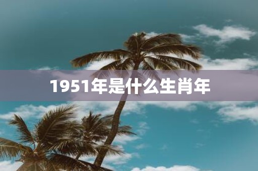 1951年是什么生肖年