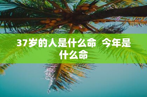 37岁的人是什么命 今年是什么命