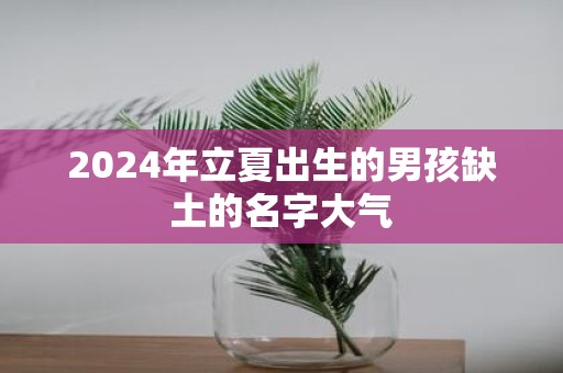 2025年立夏出生的男孩缺土的名字大气