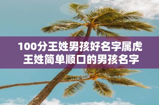 100分王姓男孩好名字属虎 王姓简单顺口的男孩名字