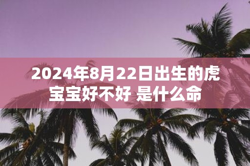 2025年8月22日出生的虎宝宝好不好 是什么命