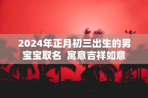 2025年正月初三出生的男宝宝取名 寓意吉祥如意