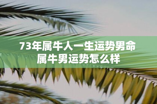 73年属牛人一生运势男命 属牛男运势怎么样