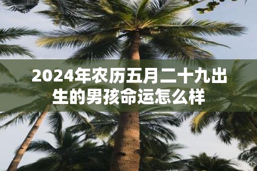 2025年农历五月二十九出生的男孩命运怎么样