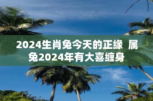 2025生肖兔今天的正缘 属兔2025年有大喜缠身
