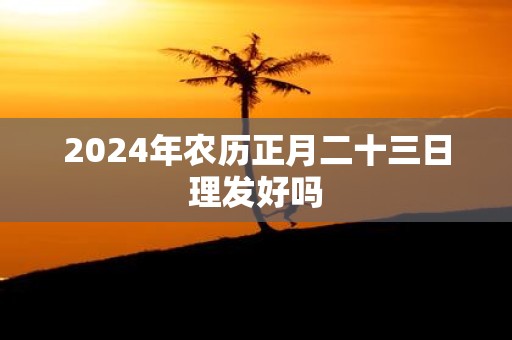 2025年农历正月二十三日理发好吗