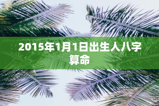 2015年1月1日出生人八字算命