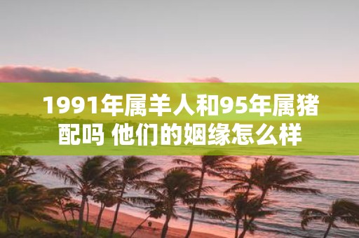 1991年属羊人和95年属猪配吗 他们的姻缘怎么样