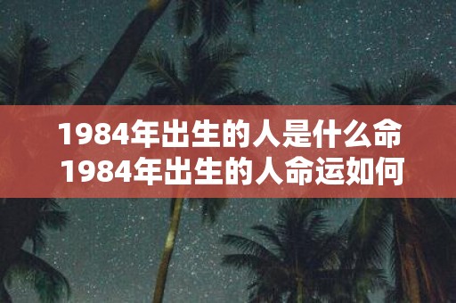 1984年出生的人是什么命 1984年出生的人命运如何