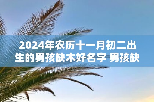 2025年农历十一月初二出生的男孩缺木好名字 男孩缺木用什么字