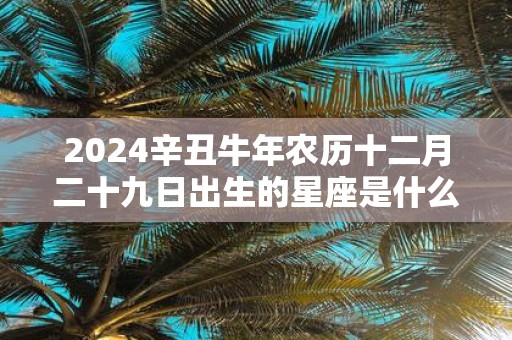 2025辛丑牛年农历十二月二十九日出生的星座是什么